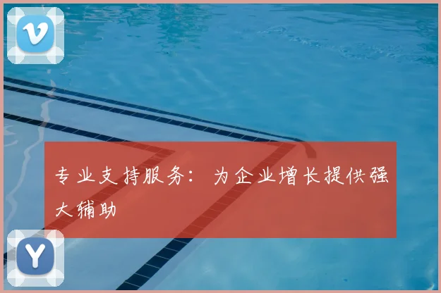专业支持服务：为企业增长提供强大辅助