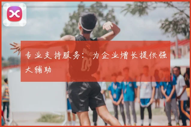专业支持服务：为企业增长提供强大辅助