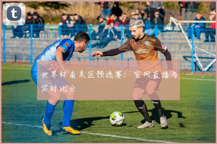 世界杯南美区预选赛：官网直播与实时比分